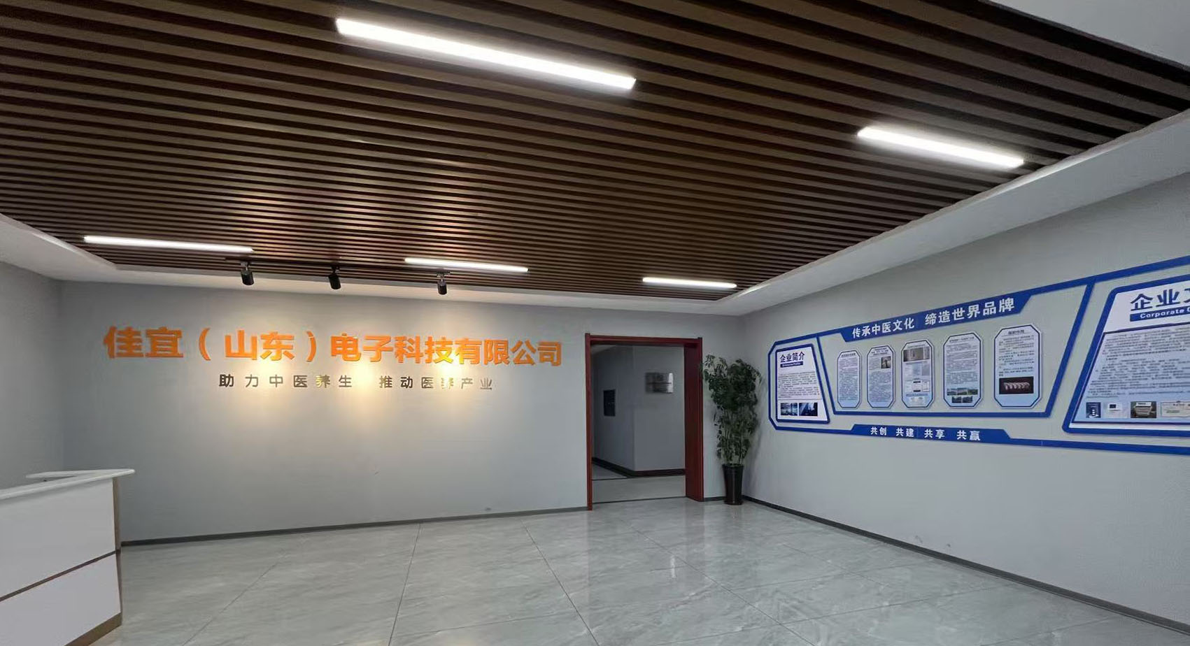 公司概述